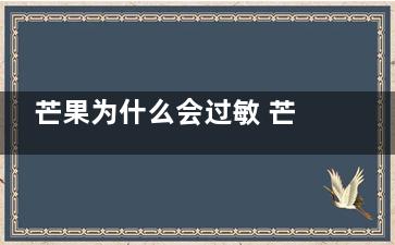 芒果为什么会过敏 芒果会过敏的原因(芒果为什么过不了海关)